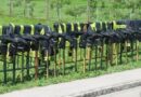 Oö: Neuerlich Unwetter-Hochwasser in Bad Mühllacken