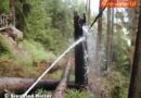 Salzburg: Waldbrand in Tamsweg