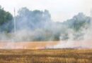 Oö: 5.000 m² Getreidefeld in Traun in Flammen