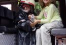 Oö: Depot-Fest der Gmundener Feuerwehr
