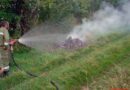 Nö: Illegale Müllentsorgung am Waldrand