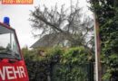 Nö: Baum droht auf Gartenhütte zu stürzen