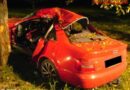 Nö: Pkw krachte frontal gegen Baum – Lenker schwerst verletzt