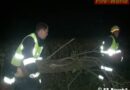 Nö: Aufwendige Lkw-Bergung auf der A4, Richtungsfahrbahn Wien, km. 32