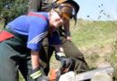 Bgld: KHD Schulung in Mattersburg