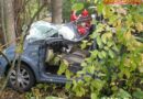 Oö: Mit Pkw in den Wald – Lenkerin getötet