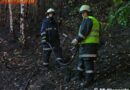 Nö: Waldbrandeinsatz in Gloggnitz