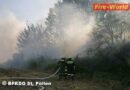 Nö: Hühnerstall im Bezirk St. Pölten in Vollbrand