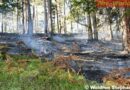 Nö: Waldbrand in Gutenstein forderte an die 150 Feuerwehrleute