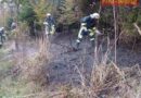 Oö: Waldbrand am  „Aichberg“ zwischen Landshaag und Bergheim