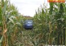 Oö: Unfall-Pkw mit getötetem Lenker gab Vollgas
