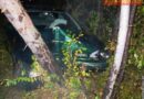 Nö: Fahrzeugbergung nach Pkw-Crash gegen einen Baum