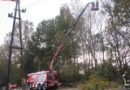 Nö: Sturmeinsatz in der Piestingau in Ebreichsdorf