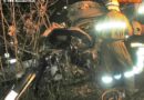Nö: Auto fuhr gegen Baum  – 2 Menschen getötet