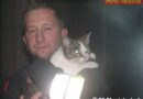 Nö: Katzenrettung durch die FF Ebreichsdorf