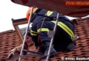 Oö: Personenrettung aus Dachluke in Marchtrenk
