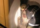 Sbg: Ofen setzte Holzwand in Mittersill in Brand
