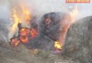 Nö: Brand von Strohballen in Wiener Neustadt