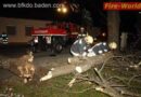 Nö: Dauereinsatz während Sturm im Bezirk Baden