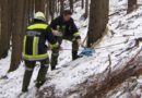 Nö: Schwierige Bergung eines bei Edlitz in den Wald gestürzten Pkw