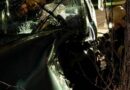 Oö: Frontal gegen Baum – Menschenrettung im Ennshafen