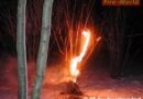 Nö: Gerissene Hochspannungsleitung setzte Sträucher in Brand