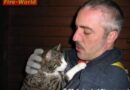 Stmk: Tierrettung – Katze auf Baum in Judendorf-Straßengel