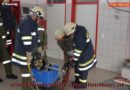 Oö: Volksschule besucht Feuerwehr