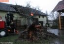 Oö: Tausende Feuerwehreinsätze nach Orkan „Kyrill“