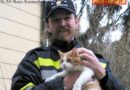 Bgld: Tierrettung in Bad Sauerbrunn