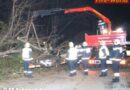 Nö: Schwere Schäden bei Sturm „Olli“ in Guntramsdorf und Schwechat