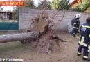 Nö: Sturm Olli bescherte FF Sollenau 44 Einsätze