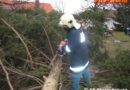 Nö: Sturm „Olli“ forderte auch die FF Steinabrückl