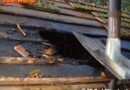 Oö: Brand einer Fischerhütte in Bad Wimsbach