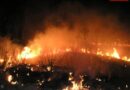 Bgld: Flurenbrand Nr. 12 des Jahres 2007 für die FF Illmitz