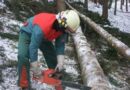 Oö: Ausbildung – Richtiges Arbeiten bei Windwurf