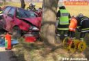 Nö: Mit Pkw in Wollmersdorf gegen Baum gekracht und eingeklemmt