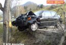 Nö: Spinnenbiss löste Unfall aus