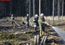 Nö: Waldbrand in der Wild