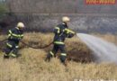 Stmk: Bahndammbrand in Judendorf-Strassengel