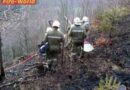 Oö: Feuerwehren aus 3 Bundesländern bekämpfen Waldbrand