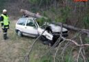 Nö: Fahrzeug prallt auf der B17 gegen Baum