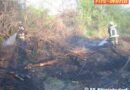 Nö: Ebreichsdorfer Brandserie setzt sich fort – diesmal ein Bahndammbrand