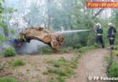 Nö: Brand eines Baumes in Felixdorf
