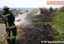 Nö: Böschungsbrand entlang der Straße in Guntramsdorf