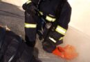 Oö: Übung in Marchtrenk – Personenrettung aus Revisions-Tunnel
