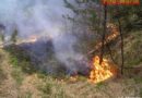 Tirol: Ein Hektar großer Waldbrand in Mieming