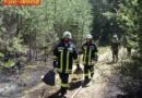 Nö: Waldbrand in Straßhof