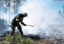Nö: Waldbrand in Urschendorf
