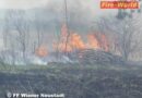 Nö: Flurbrand in Wiener Neustadt – 1000 m² Wiese in Flammen